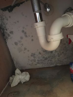 Mold Remediation in Pine Grove, Louisiana by United Fire & Water Damage of Louisiana, LLC