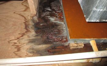 AC Leak Restoration in Baton Rouge, Louisiana by United Fire & Water Damage of Louisiana, LLC